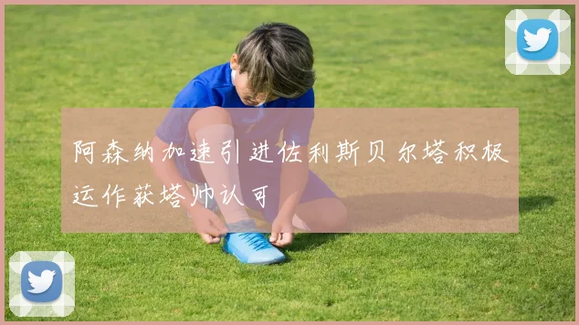 阿森纳加速引进佐利斯贝尔塔积极运作获塔帅认可